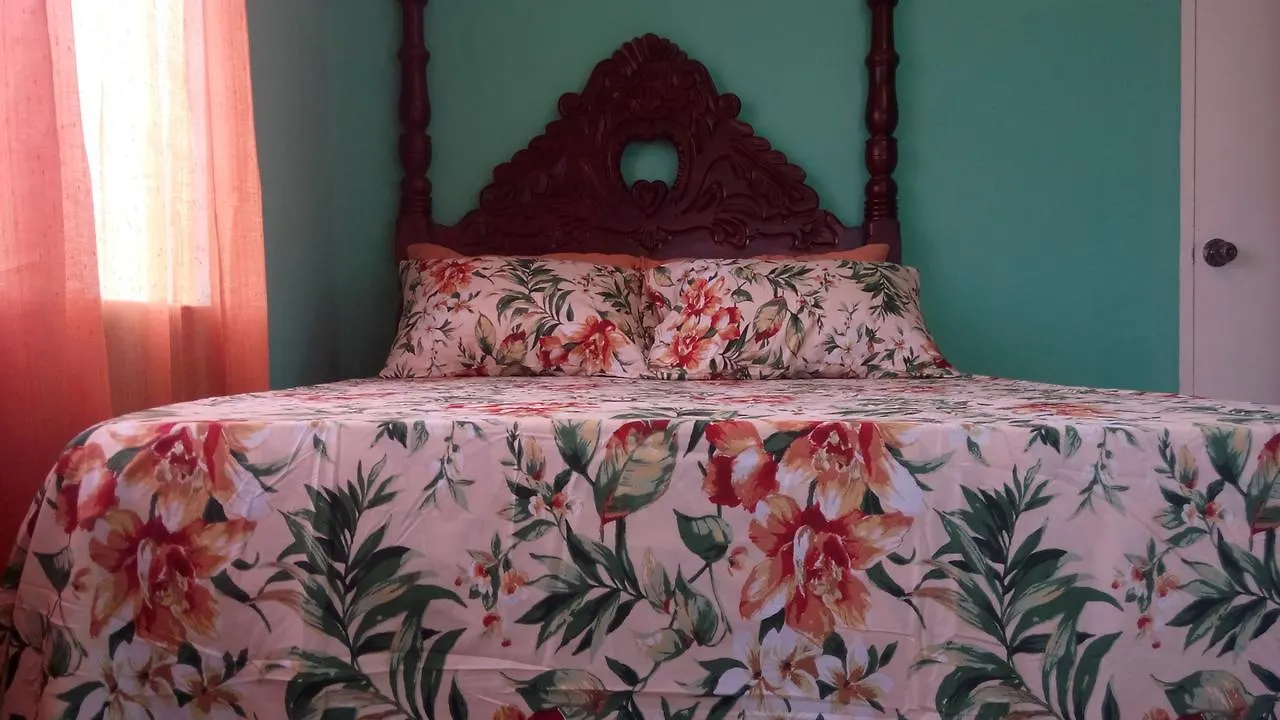Accommodatie bij particulieren Reggae Moon Guest House Falmouth Jamaica